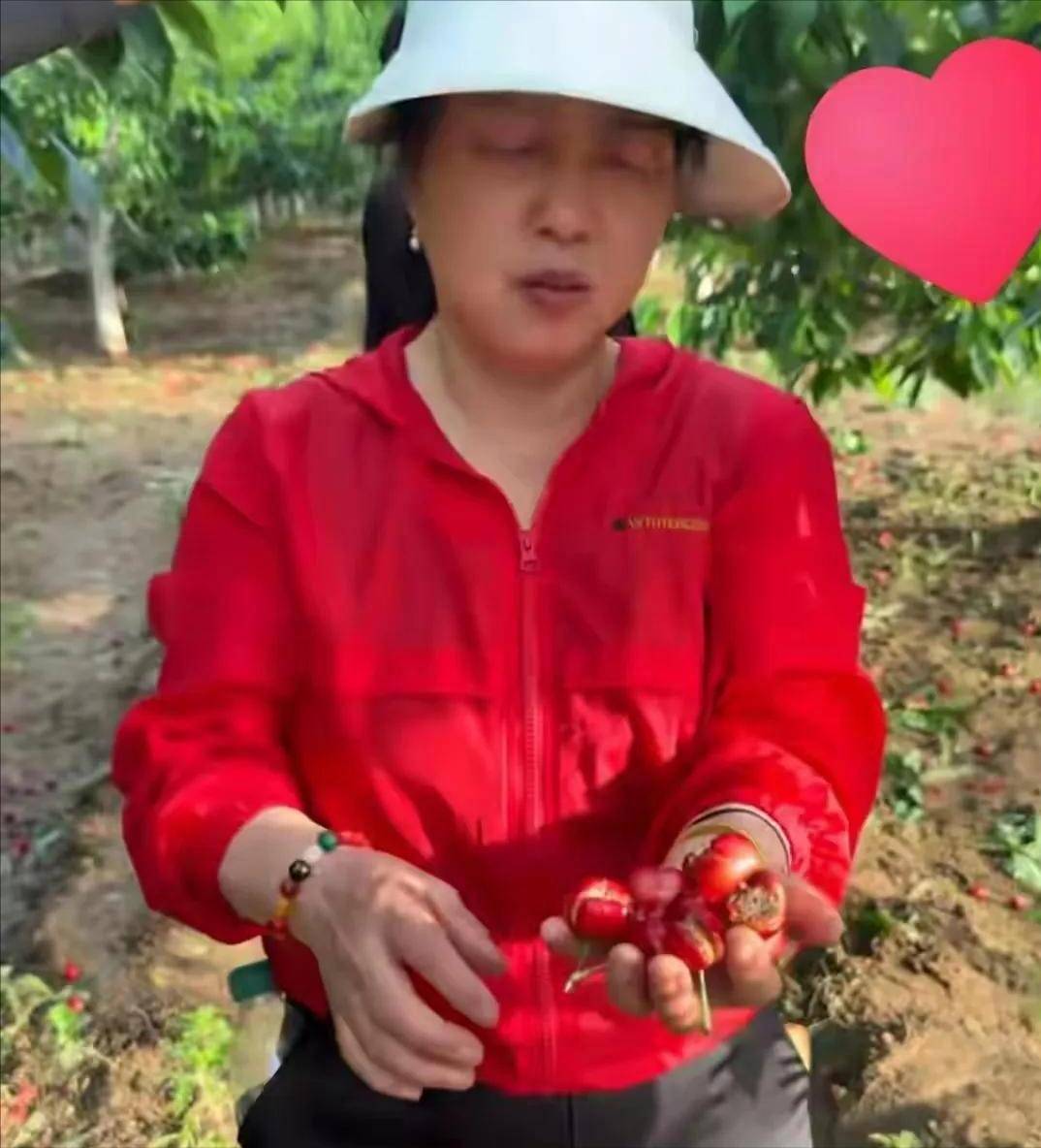 李雨禅后续:封号非终点,果农曝细节,民事追责已启动
