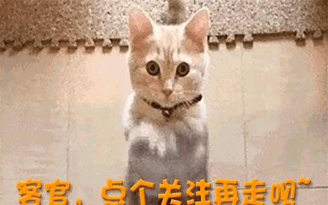 白鹿风波升级!圈内人曝10万红包猛料