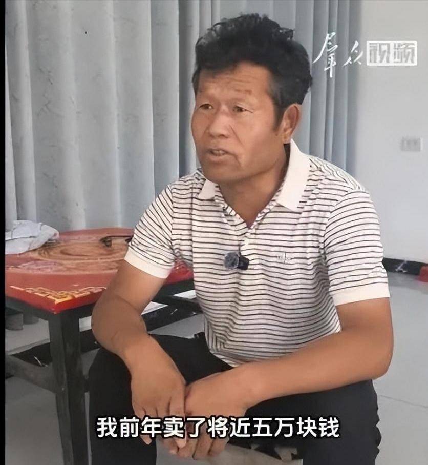 李雨禅后续:封号非终点,果农曝细节,民事追责已启动