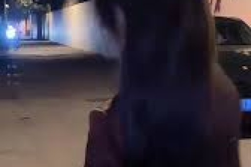 沙玉华去世享年95岁 老戏骨翻车引反思