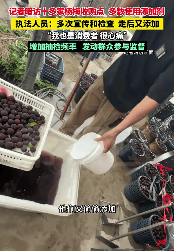 杨梅塌房：消费者为何不再心疼果农？