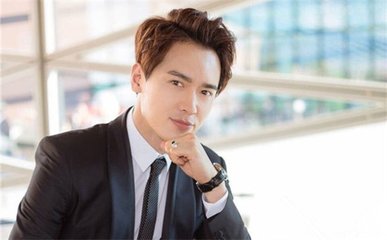 高云翔悉尼涉性侵被捕 董璇已与他分开
