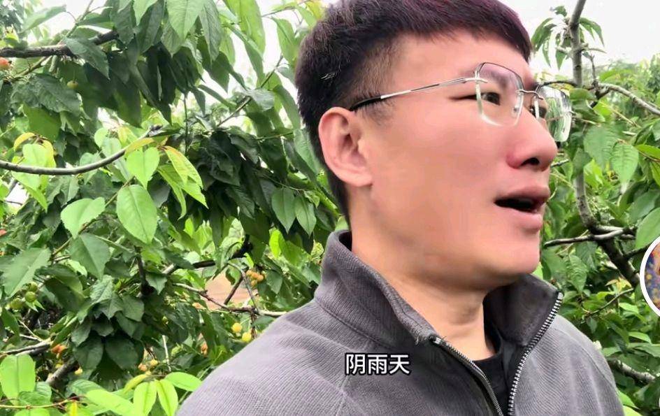 杨二狗河南女友2万分手费反转，网红卓越再被揭老底