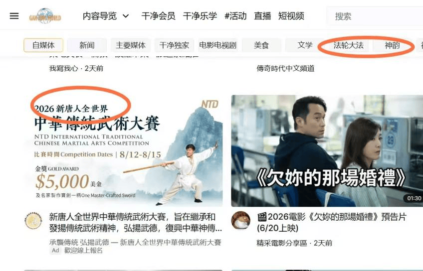明净天下:不良组织视频平台骗局揭秘